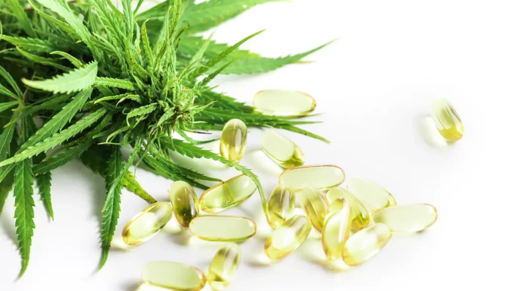 Carmen's Medicinals' CBD capsules 